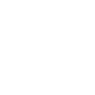 100% Client focus